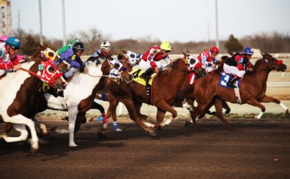 horses, horse racing, racetrack