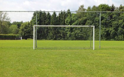 gate, soccer, lawn