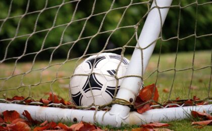 soccer, gate, fall