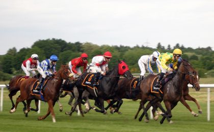 horse race, nature, horse racing