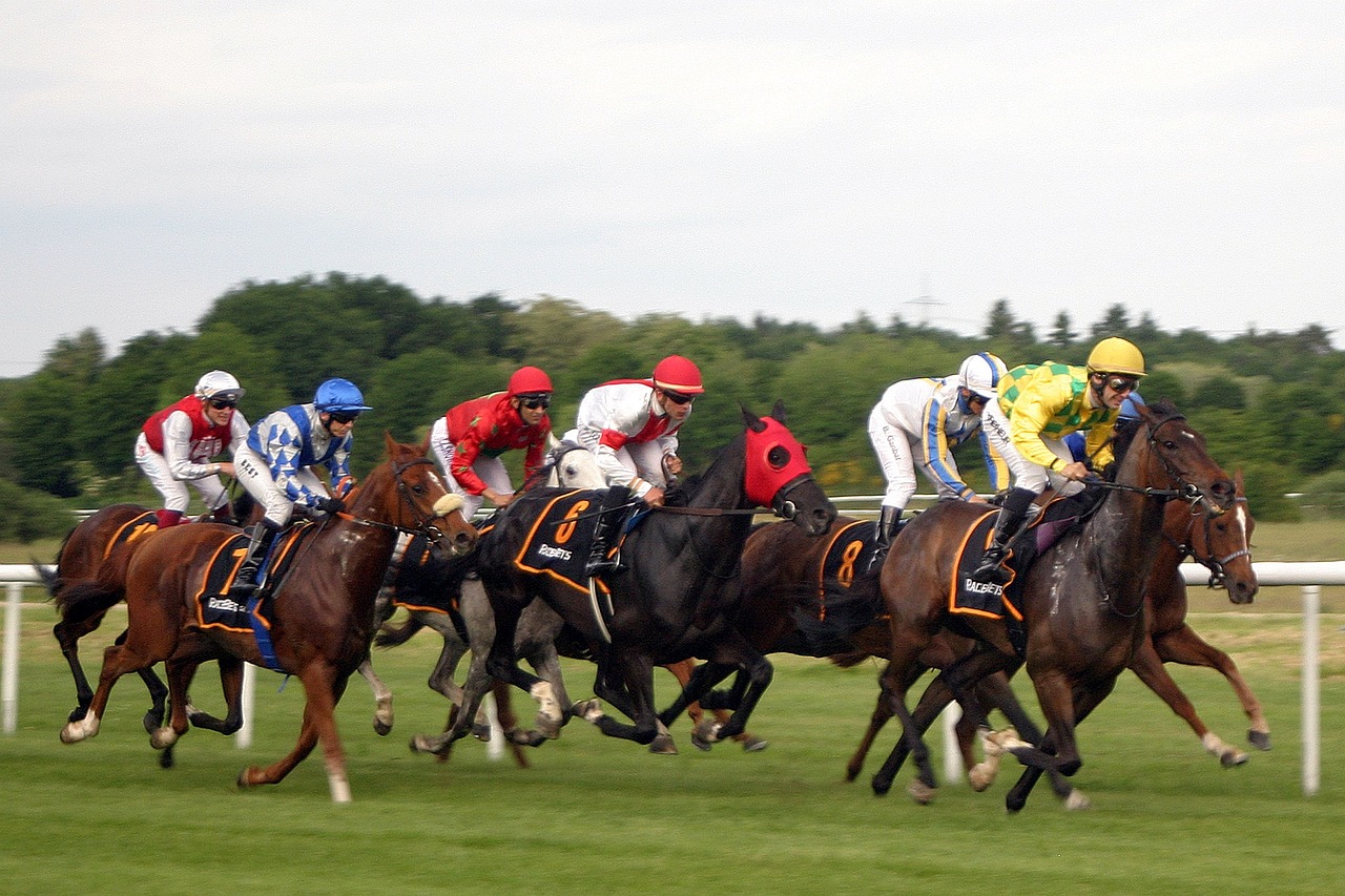 10 Form Criteria to Increase Your Chance to Win “Free Bet if Your Horse comes in Second” Offers 