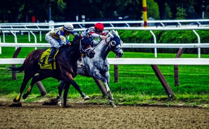 saratoga springs, new york, horses